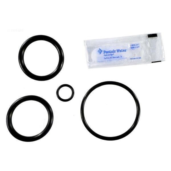 Pentair  Kit O-Ring Noncorrosive Slide