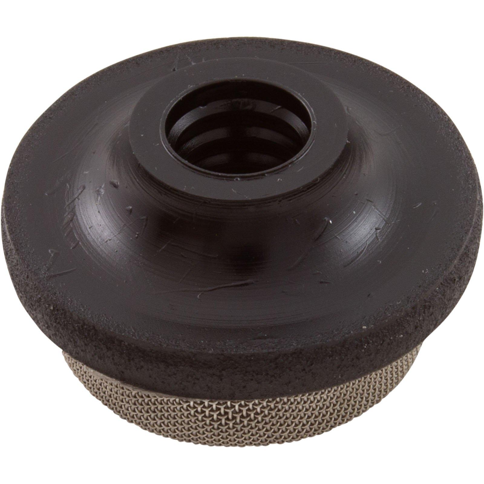 Pentair  Strainer Air Relief for 3/8in OD Tubing