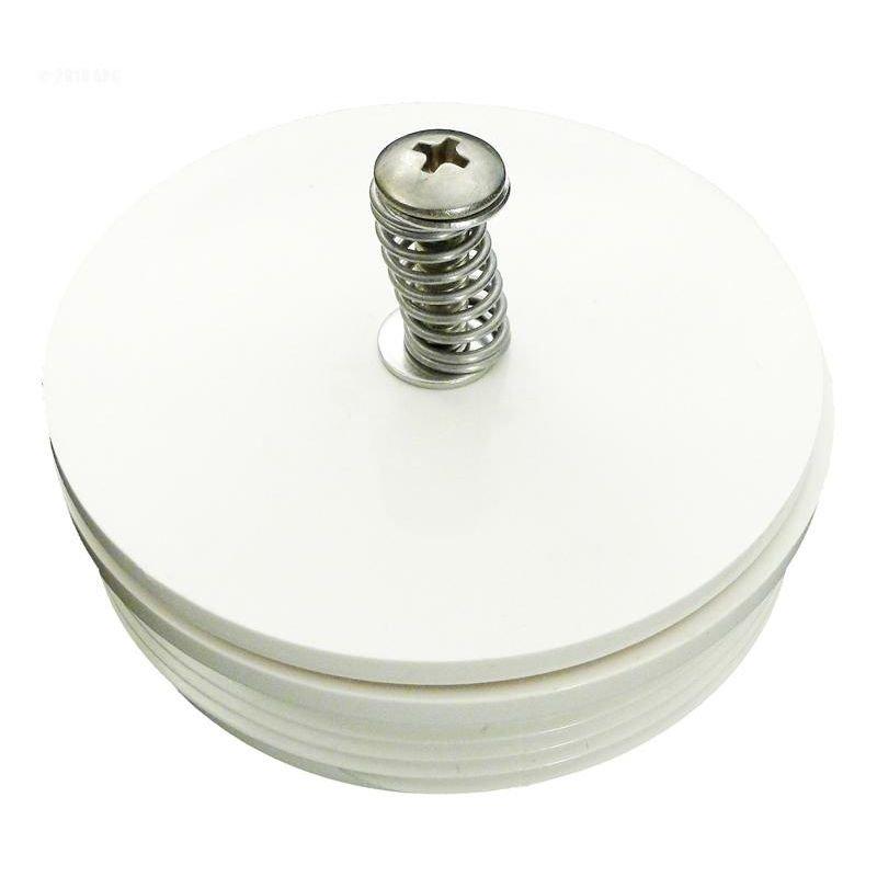 Pentair  2in Spring Check Valve