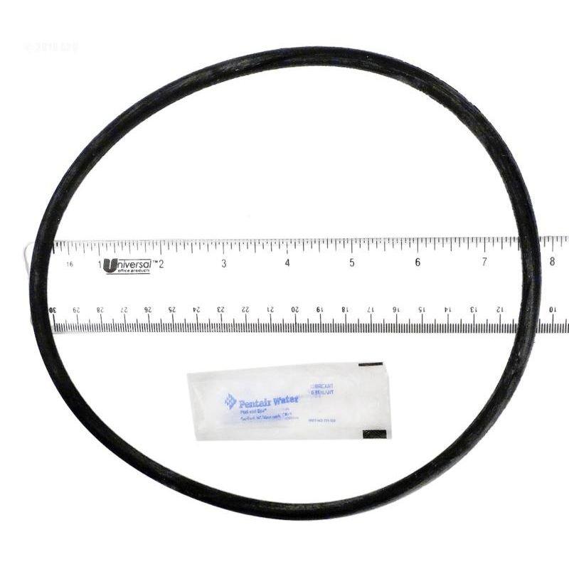 Pentair  Tank Lid O-Ring