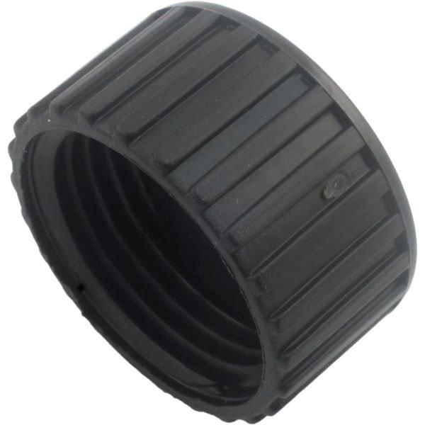 Pentair  Drain Cap Assembly with Washer