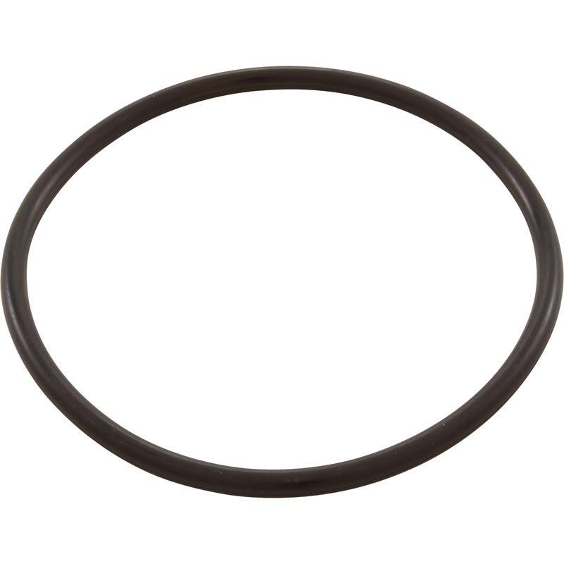 Pentair - Trap Lid O-Ring