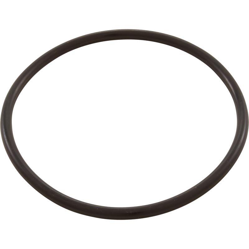 Pentair  Trap Lid O-Ring