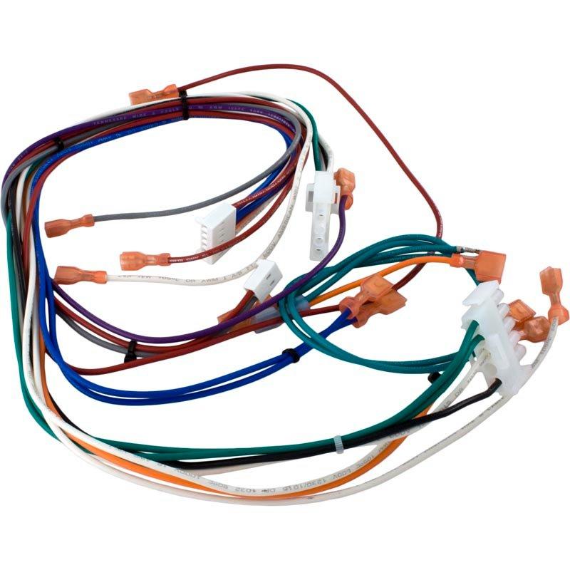 Hayward - Wire Harness