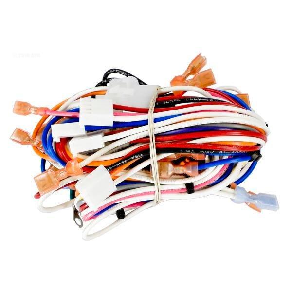 Hayward - Wire Harness, Main
