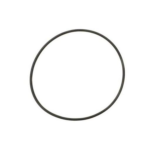 Zodiac  Backplate O-Ring