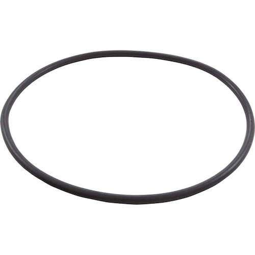 Pentair  O-Ring Seal Plate Eq