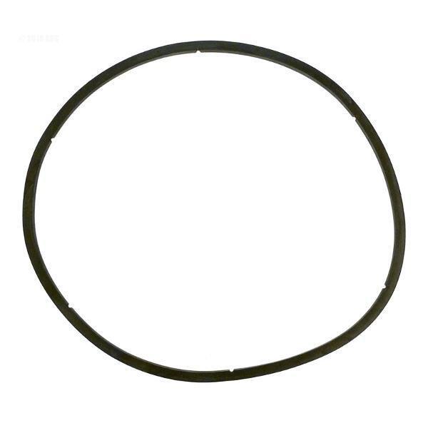 Pentair  Gasket Eq Clear Lid