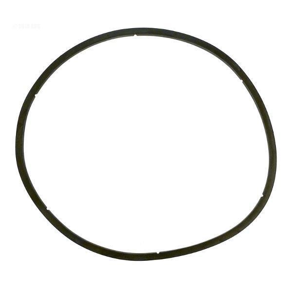 Pentair  Gasket Eq Clear Lid