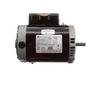 56C C-Face 3/4 or 0.10 HP Dual Speed Full Rated Pool and Spa Pump Motor, 11.2/5.0A 115V