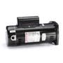 48Y Square Flange 2-1/2 HP Up-Rated Pool Filter Motor, 11.2A 230V