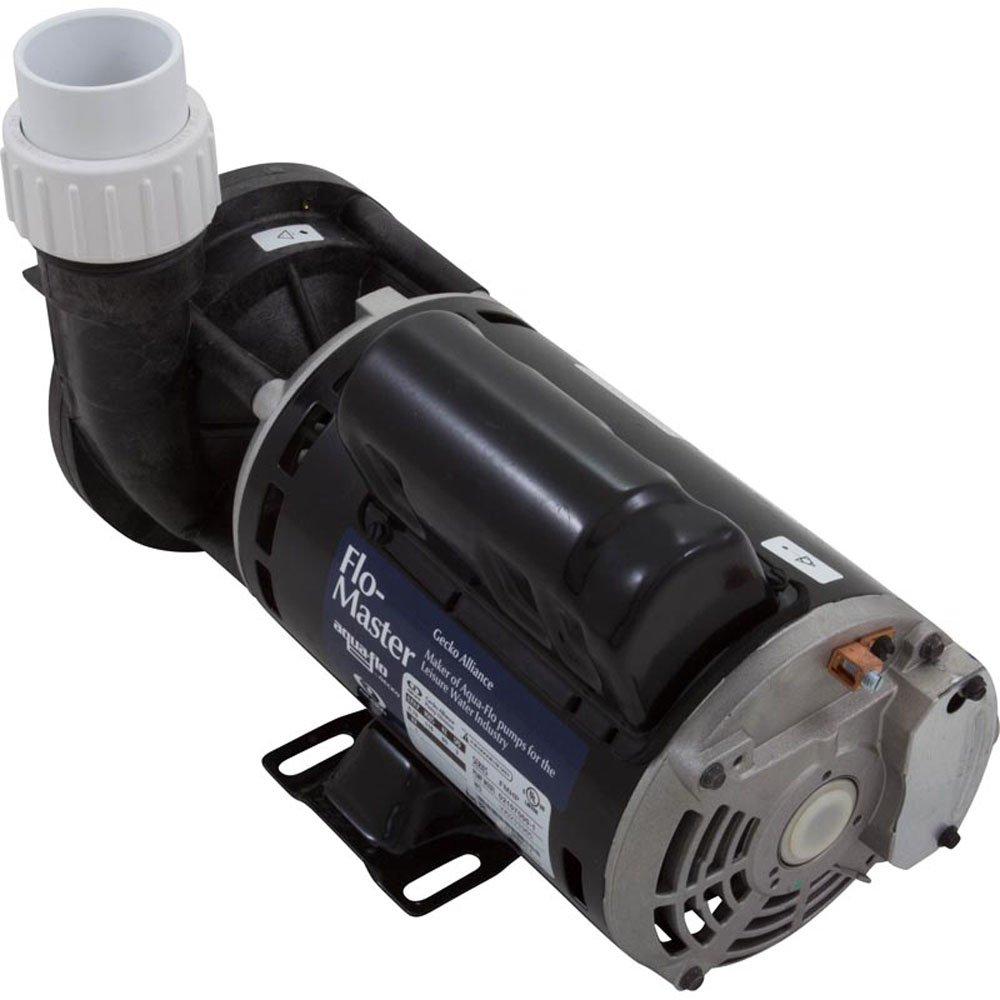 Gecko  Aqua-Flo Flo-Master CP 3/4HP 120V Dual Speed 48 Frame Side Discharge Pump