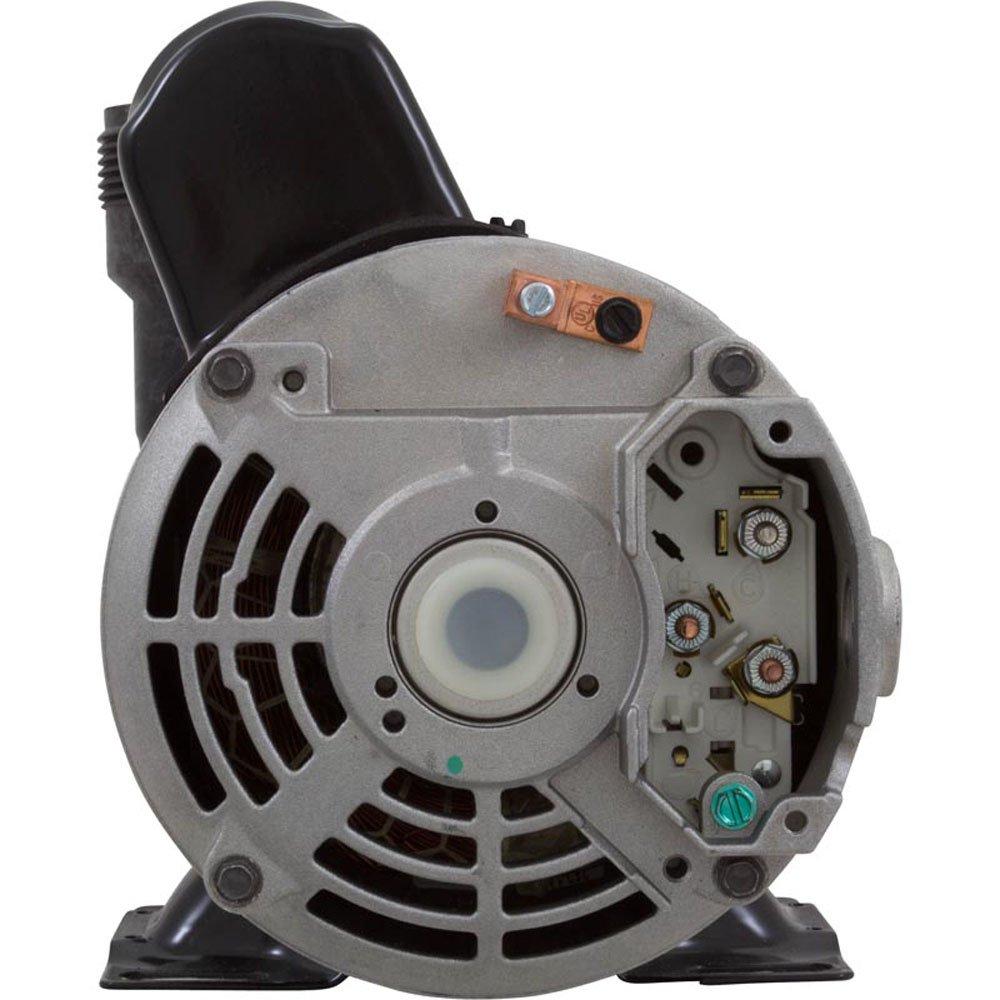 Gecko  Aqua-Flo Flo-Master CP 3/4HP 120V Dual Speed 48 Frame Side Discharge Pump