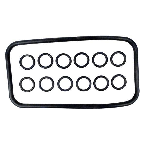Pentair  O-Ring Kit for Max-E-Therm/MasterTemp