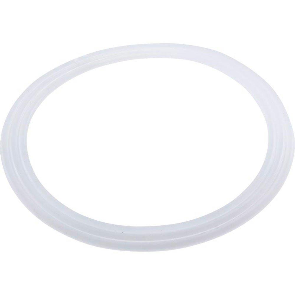 Waterway  Flat Gasket for Power Storm Jets