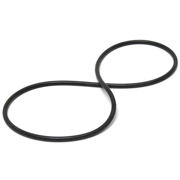 Waterway O-Ring for Crystal Water Filter Tank Body
