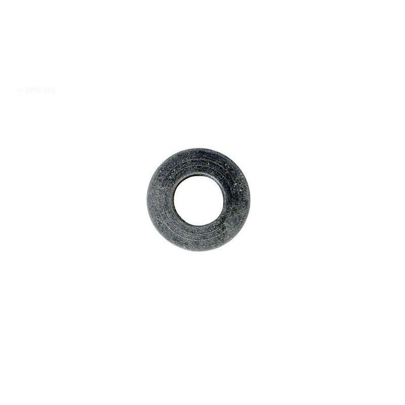 Pentair  Rubber Washer for IntelliFlo/IntelliFlo VS