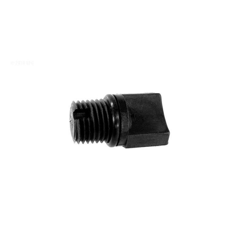 Pentair - Drain Plug with O-Ring