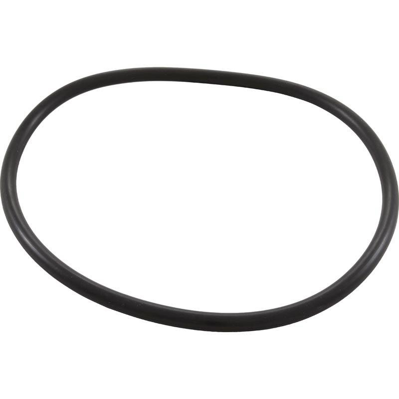 Pentair  Trap O-Ring