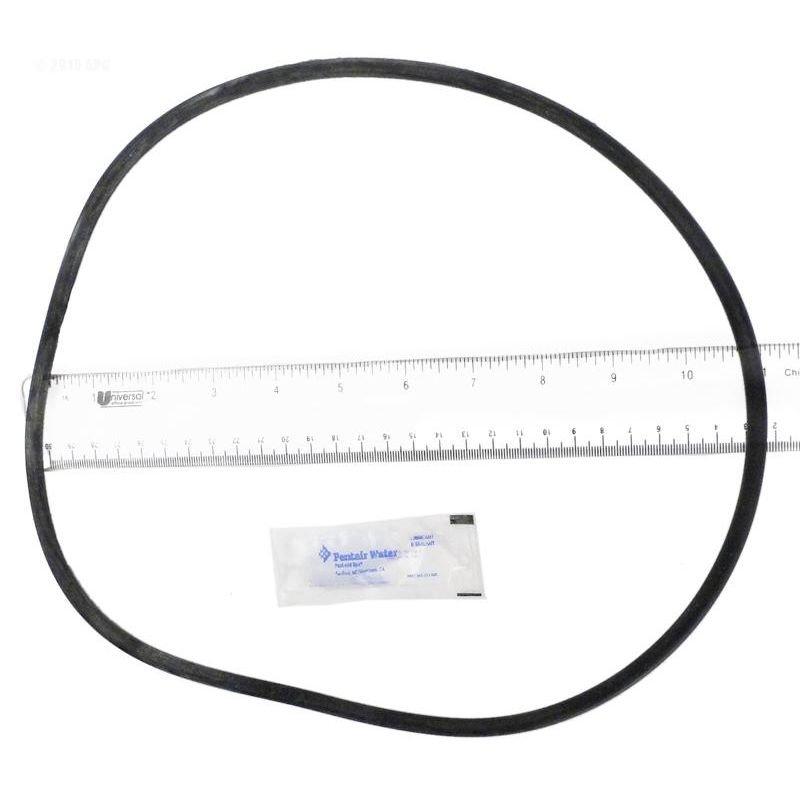 25230-0010S - PENTAIR POOL PRODUCTS - O-RING | Leslie's Pool Supplies
