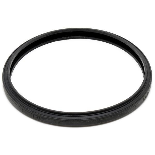 Pentair  Gasket Lens