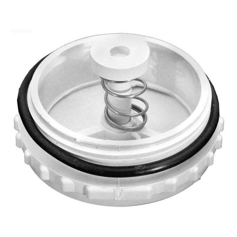 Pentair  Equalizer Valve Assembly