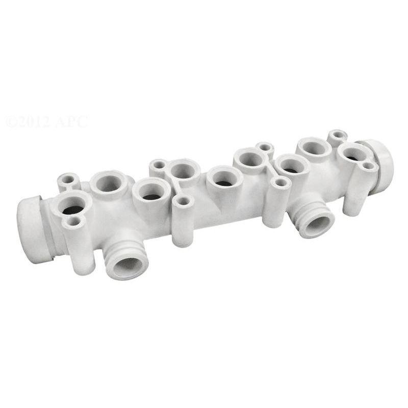 Pentair  Main Manifold Assembly