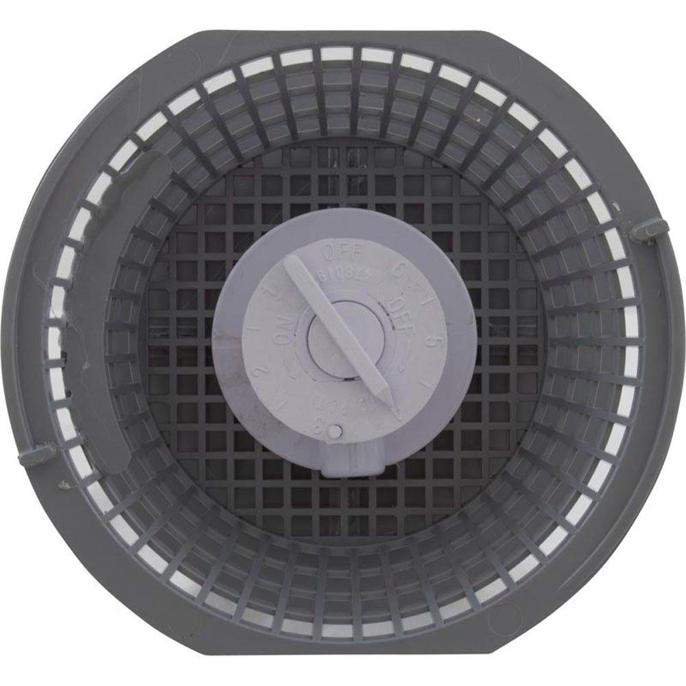 Pentair  Lily Chem Dispenser with Basket Assembly Dark Gray