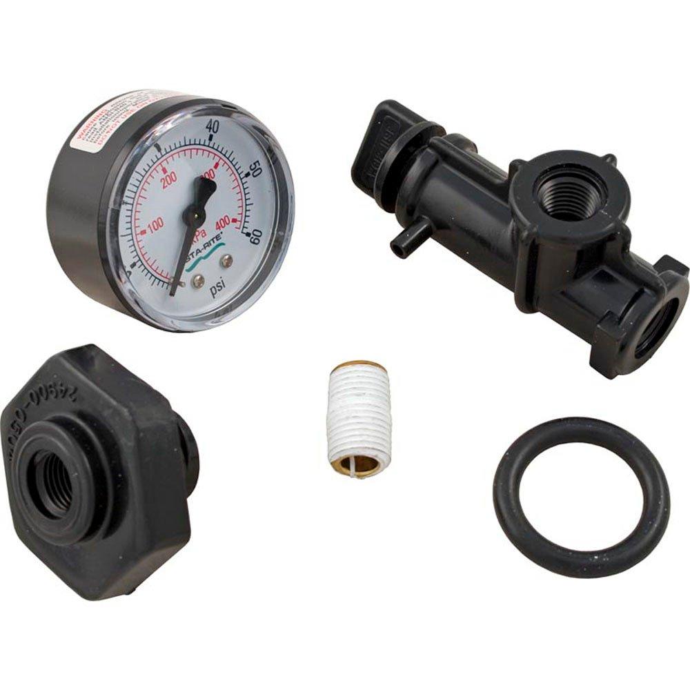 Sta-Rite  24850-0105 Replacment Air Relief Valve and PSI Gauge Assembly