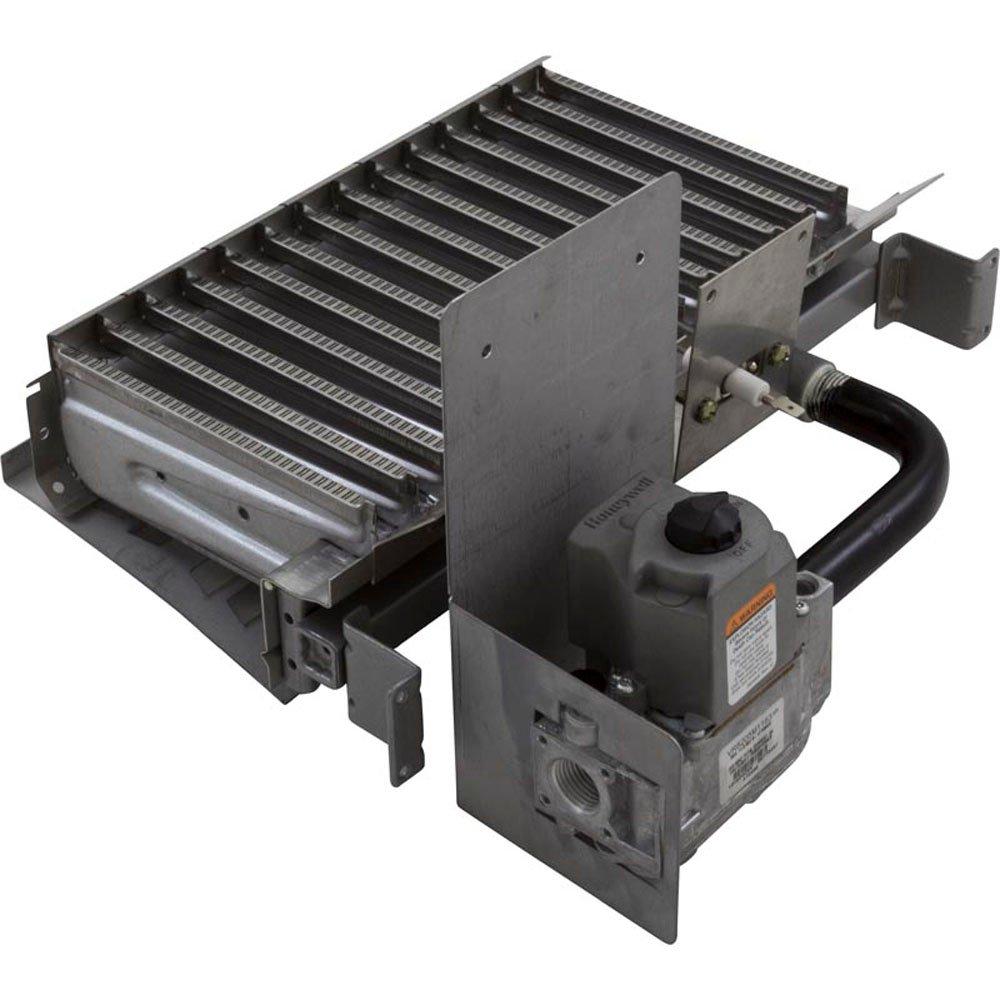 Pentair  Burner Tray Assembly 100P