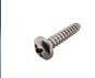 Aqua Products  Pool Cleaner 3/4in Phillips Screw