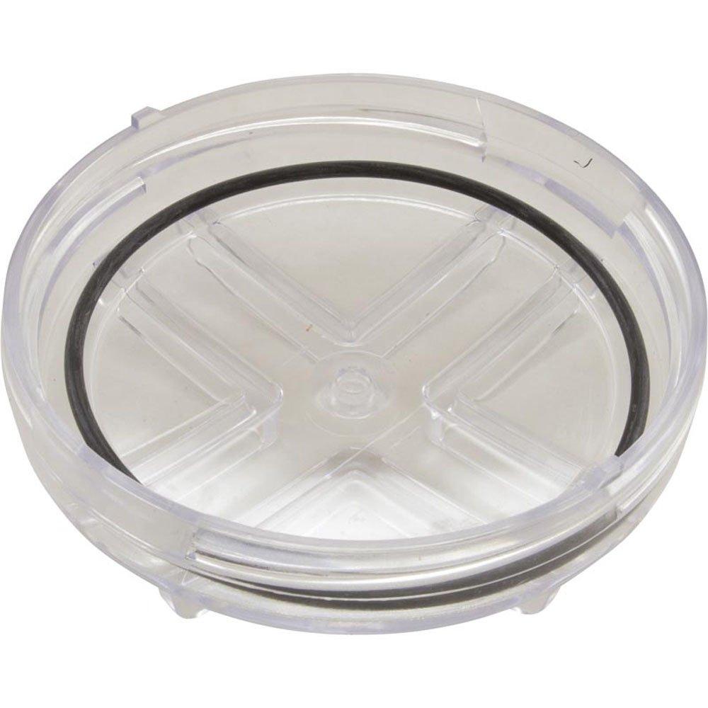 Astral Strainer Lid 4405010401 Leslie's Pool Supplies
