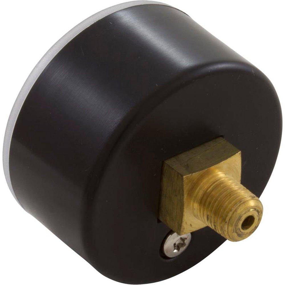 Astral  Pressure Gauge Astral 1/8 mpt 50psi