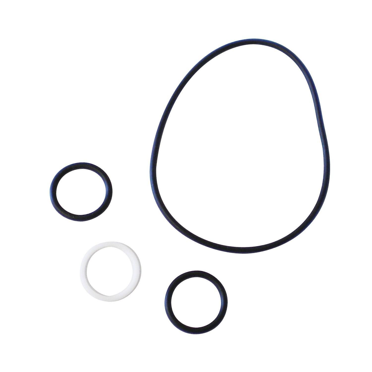 Hayward  Key and Cover O-Ring Kit