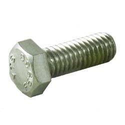 Hayward  Motor Bolt