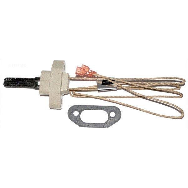 Zodiac Igniter Assembly Hi-E2 | In The Swim