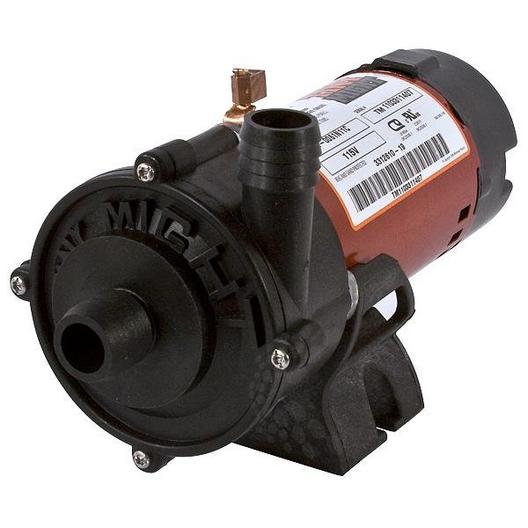 Waterway  Tiny Might 1/16HP Spa Pump 1in Barb x 1in Barb 115V