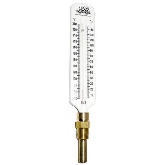 Raypak  Thermometer