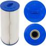 PCD100W Replacement Filter Cartridge for Caldera 100, 100 sq. ft.