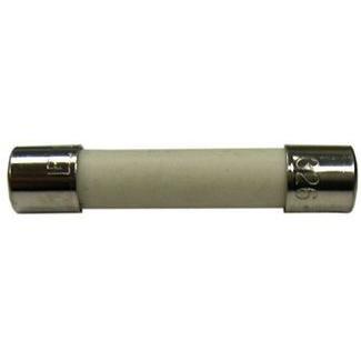 Zodiac - 1.5 Amp Fuse (Autoclear Plus 240V)-Salt