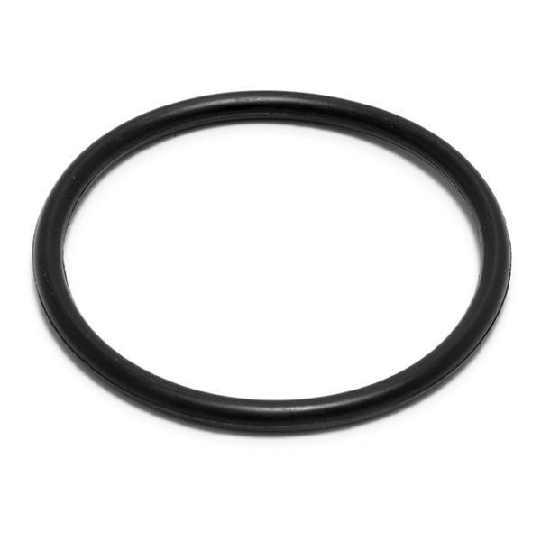 Zodiac  Duoclear Cartridge O-Ring