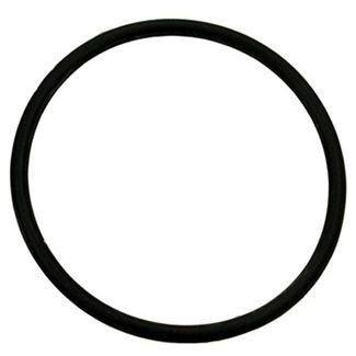 Zodiac  O-Ring-Salt