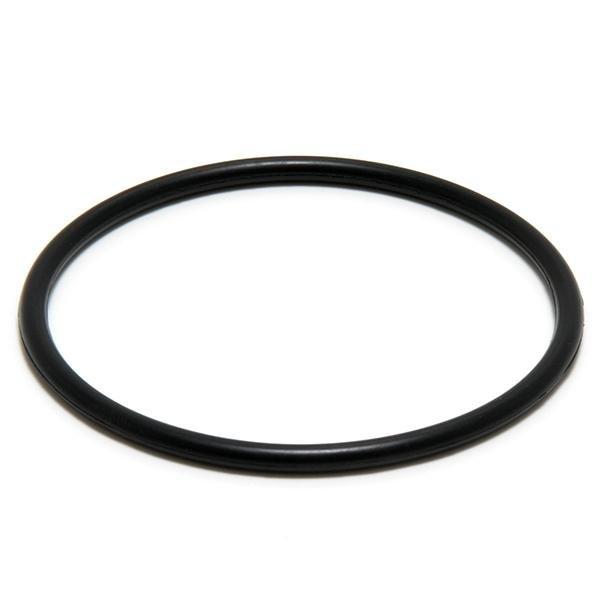 Zodiac  Duoclear Electrode O-Ring
