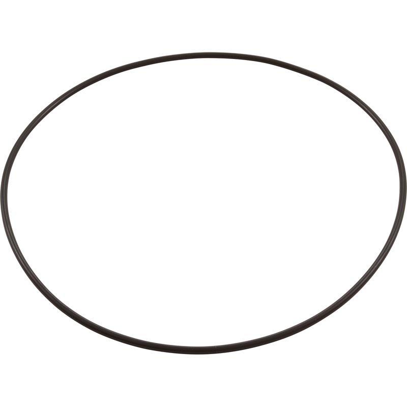 Zodiac - Leaftrapper O-Ring Between Tank and Lid-Current (Newlt)