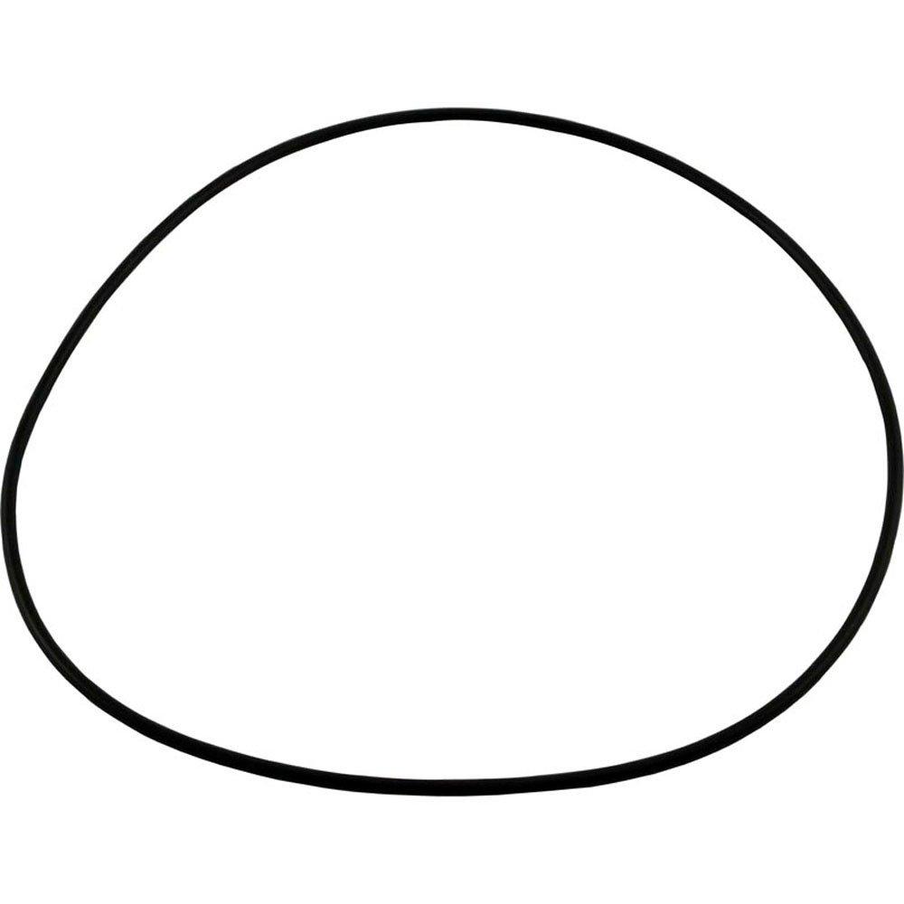 Polaris  O-Ring Seal Plate  Halcyon Pump