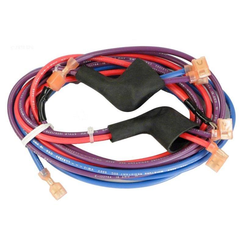 Hayward Rear Wire Harness DS Before 10-28-00 | Pool Supply World