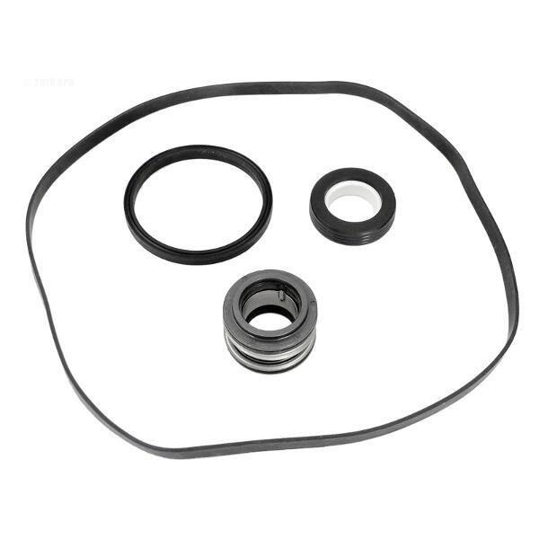 Hayward  Seal Assembly Kit (Seal Housing and Dif.Gasket)