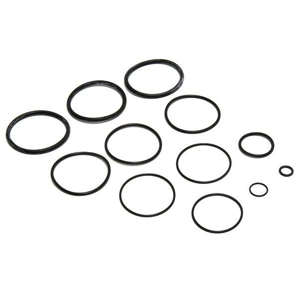 Zodiac O-Ring Replacement Kit for CV Series | In The Swim