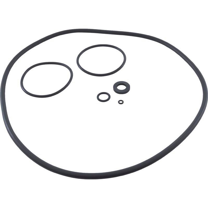 Zodiac  O-Ring Set