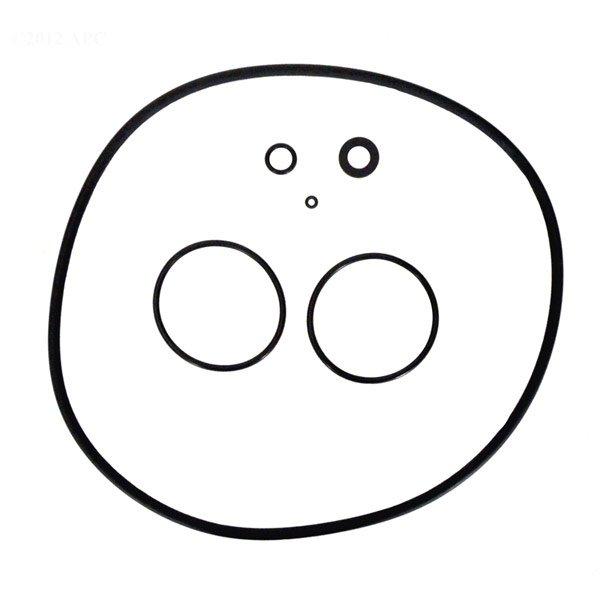 Zodiac  O-Ring Set